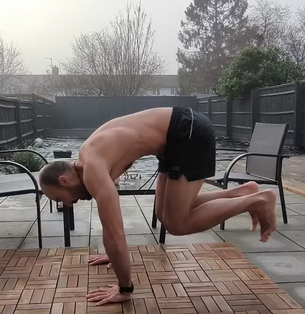 A controlled quadrupedal hold