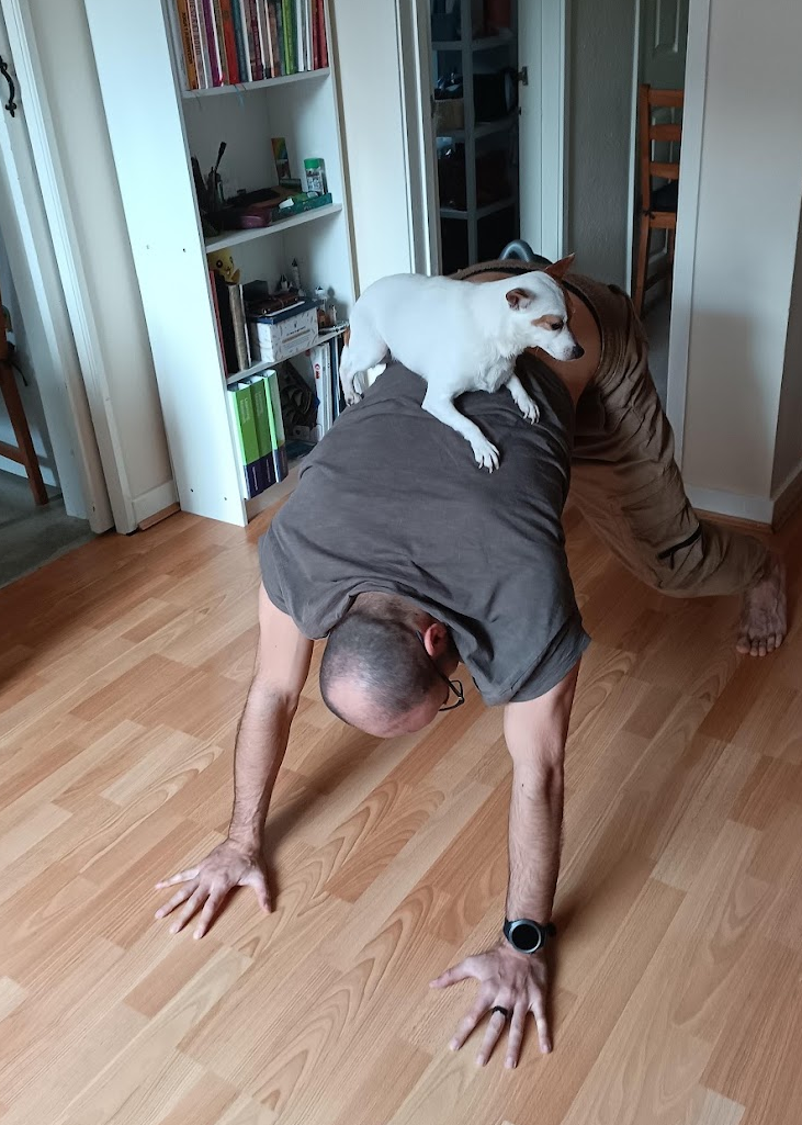Playful quadrupedal training with a dog